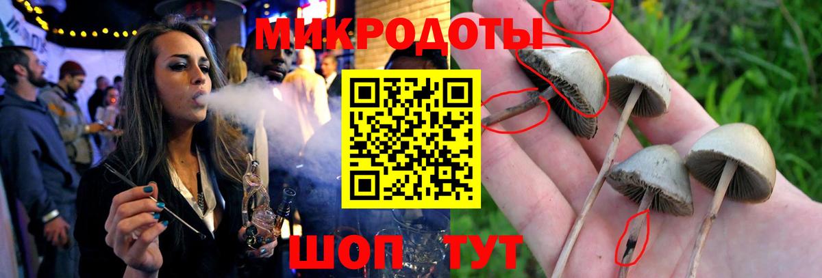 Галлюциногенные грибы Cubensis  Вход с VPN  Кизляр 